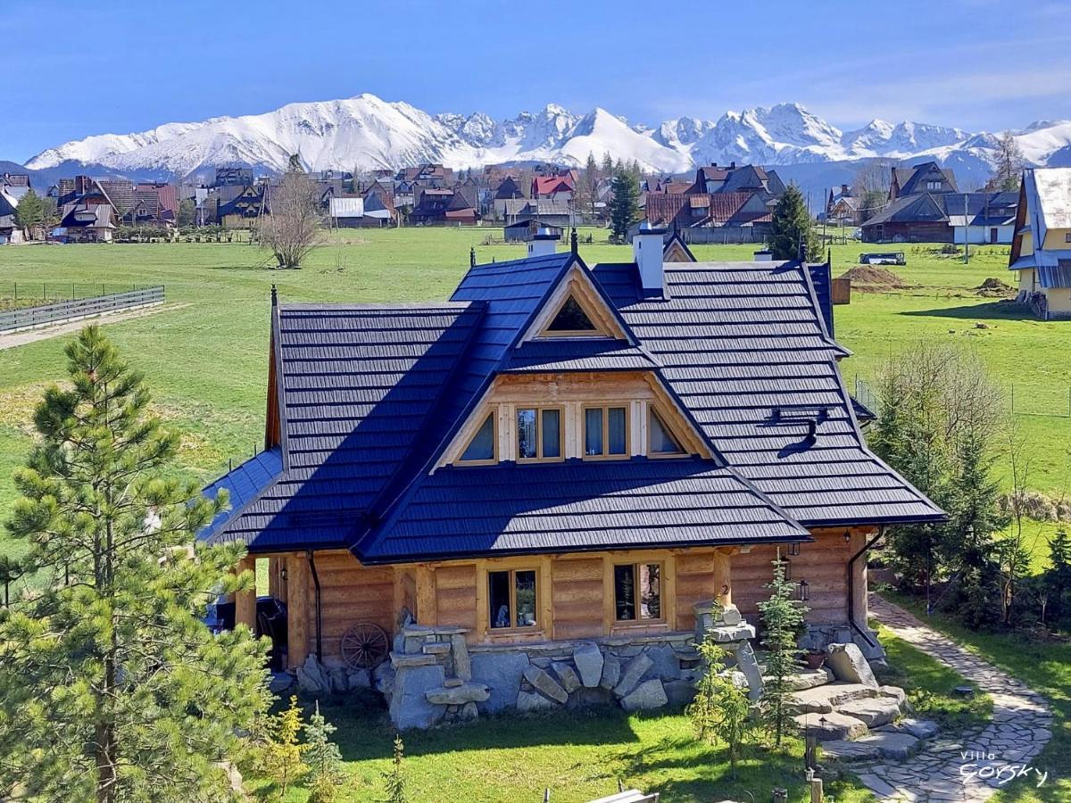 Luxury Chalet Villa Gorsky Hanco & Janso โปโรนิน ภายนอก รูปภาพ